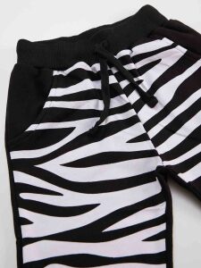 Balerin Zebra Kız Çocuk T-shirt Pantolon Takım - 6