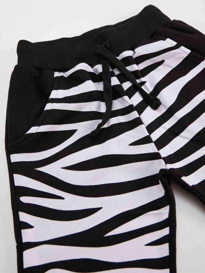 Balerin Zebra Kız Çocuk T-shirt Pantolon Takım - 6