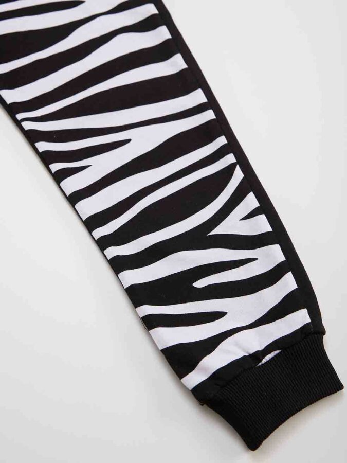 Balerina Zebra Girl T-shirt&Pants Set - 7