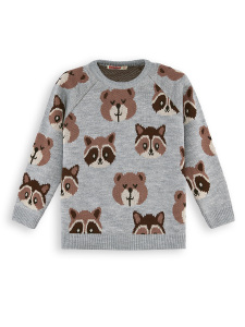 Bear&Raccoon Boy Knit Jumper - 3