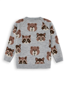 Bear&Raccoon Boy Knit Jumper - 4