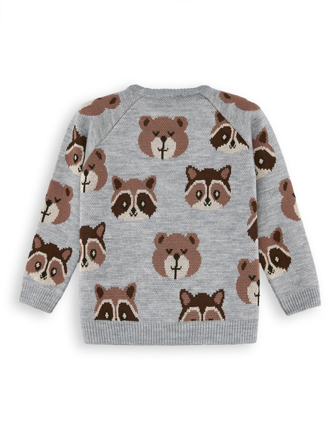 Bear&Raccoon Boy Knit Jumper - 4