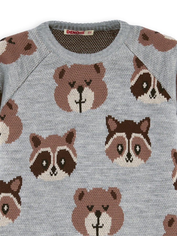 Bear&Raccoon Boy Knit Jumper - 5