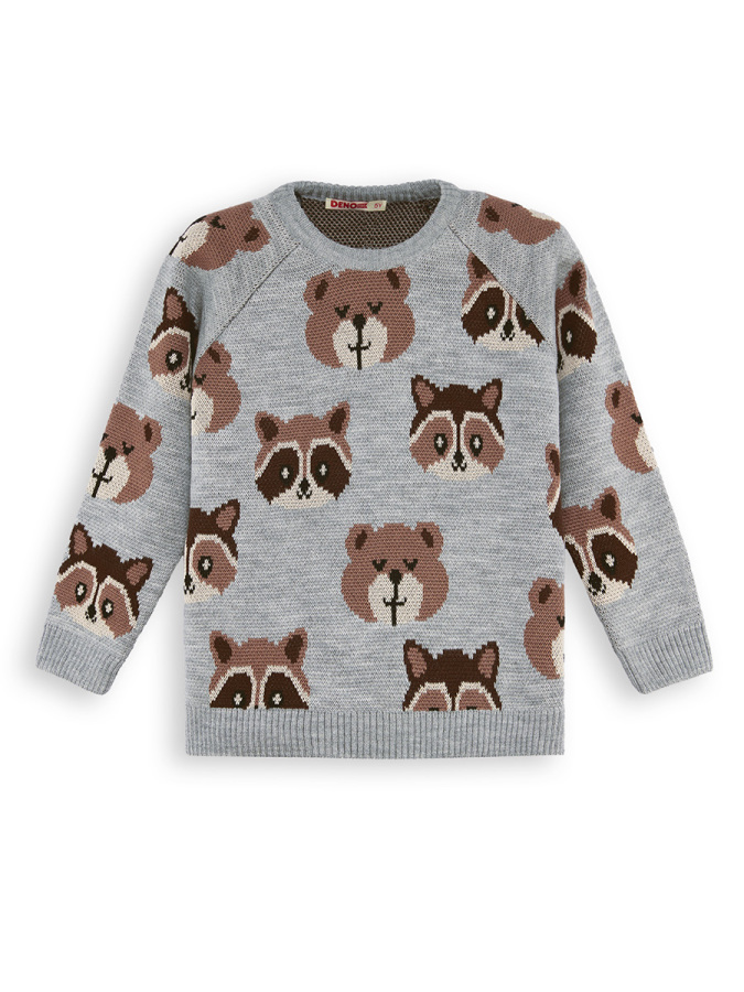 Bear&Raccoon Boy Knit Jumper - 3