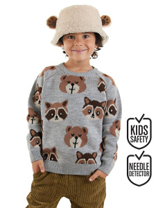 Bear&Raccoon Boy Knit Jumper - Denokids