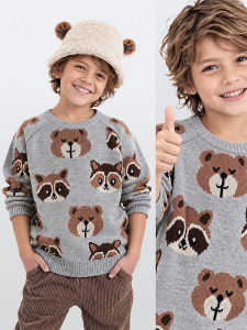 Bear&Raccoon Boy Knit Jumper - Denokids