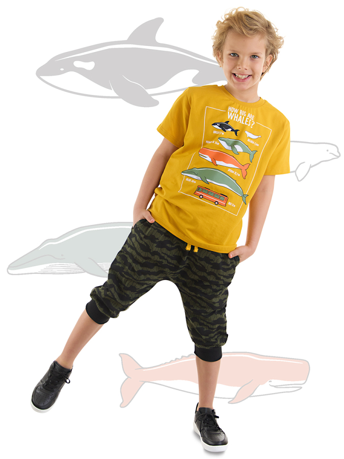 Big Whales Erkek Çocuk Yazlık T-shirt Kapri Takım - 1