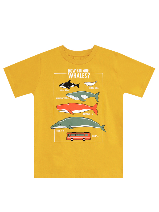 Big Whales Erkek Çocuk Yazlık T-shirt Kapri Takım - 10