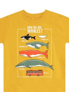 Big Whales Erkek Çocuk Yazlık T-shirt Kapri Takım - 13