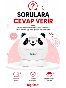 BigiOne Sesli Eğitici Oyuncak | Yapay Zeka Destekli Ekransız Öğrenme Arkadaşı - 2