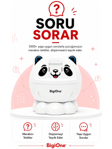 BigiOne Sesli Eğitici Oyuncak | Yapay Zeka Destekli Ekransız Öğrenme Arkadaşı - 3