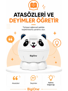 BigiOne Sesli Eğitici Oyuncak | Yapay Zeka Destekli Ekransız Öğrenme Arkadaşı - 4