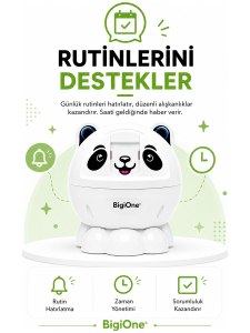 BigiOne Sesli Eğitici Oyuncak | Yapay Zeka Destekli Ekransız Öğrenme Arkadaşı - 5