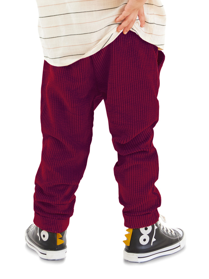 Boy Velvet Burgundy Pants - 2