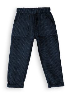 Boy Velvet Navy Blue Pants - 3