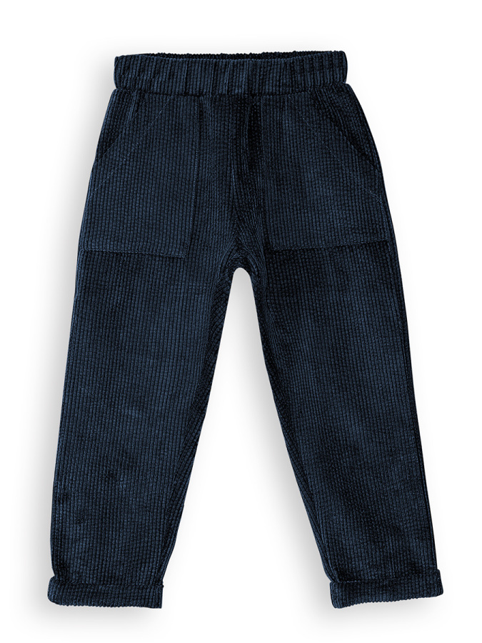 Boy Velvet Navy Blue Pants - 3