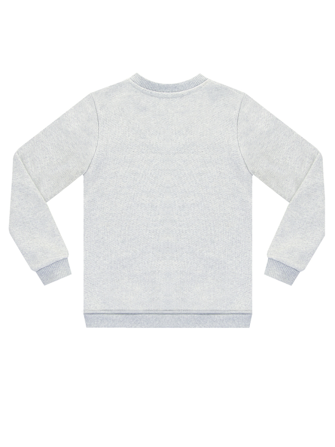 Cartoon Dino Boy Grey Sweatshirt - 4