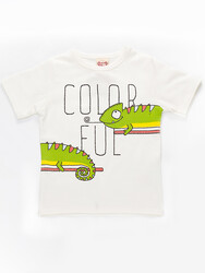 Colorful T-Shirt - 3