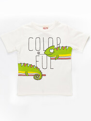 Colorful T-Shirt - Thumbnail