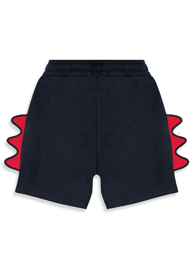 Cool Dino Boy T-shirt&Shorts Set - 9
