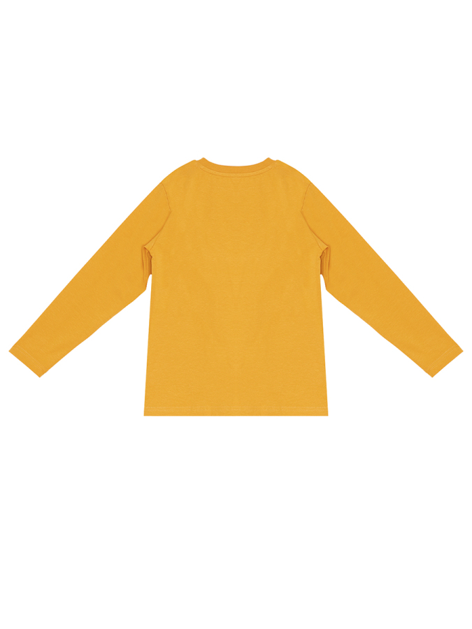 Cool Dinolar Erkek Çocuk T-shirt Eşofman Altı Takım - 7