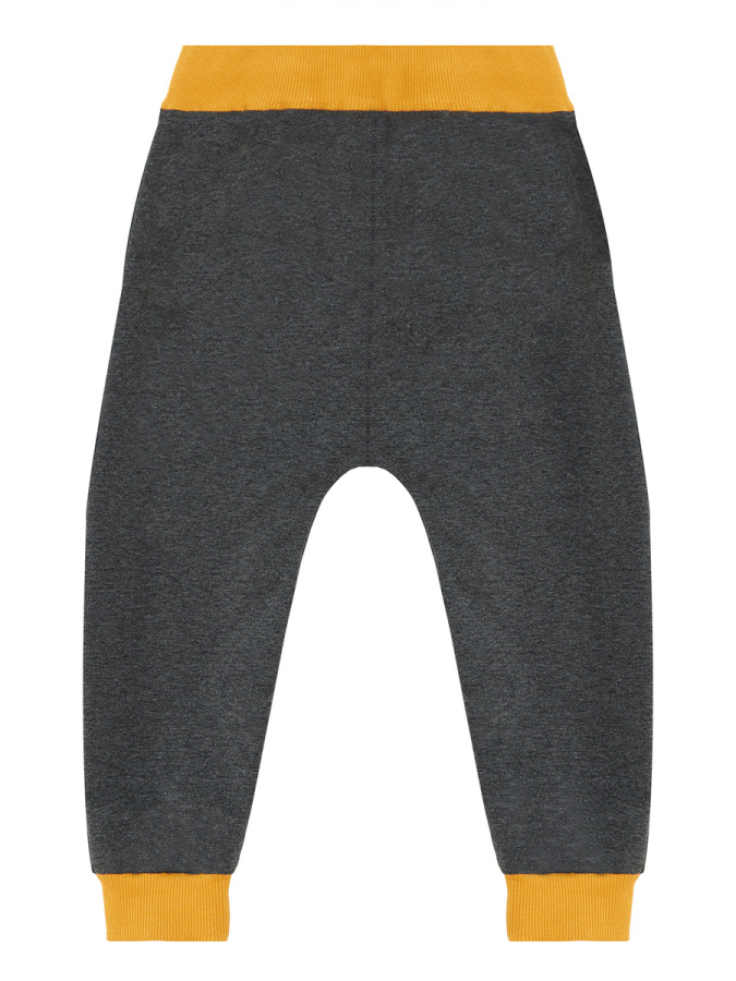 Cool Dinolar Erkek Çocuk T-shirt Eşofman Altı Takım - 9