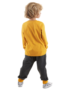 Cool Dinolar Erkek Çocuk T-shirt Eşofman Altı Takım - Denokids