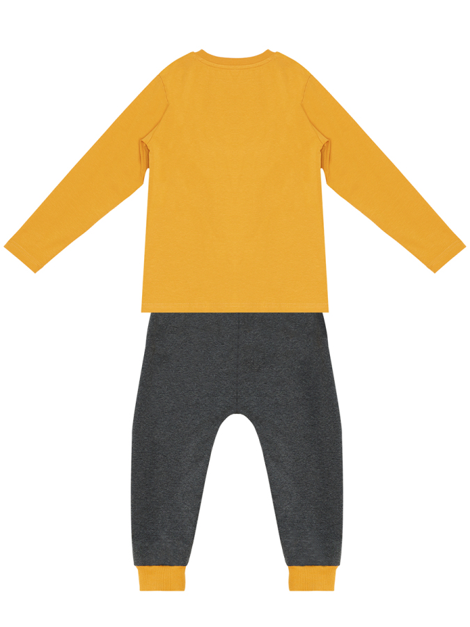 Cool Dinolar Erkek Çocuk T-shirt Eşofman Altı Takım - 3