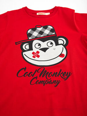 Cool Monkey Boy T-shirt&Harem Pants Set