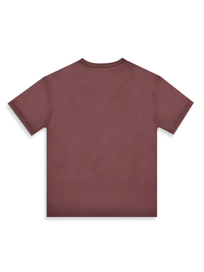 Erkek Çocuk Takım Kaplan Baskılı %100 Pamuk T-Shirt Çizgili Dokuma Şort Yazlık Takım - 7