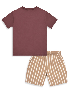 Erkek Çocuk Takım Kaplan Baskılı %100 Pamuk T-Shirt Çizgili Dokuma Şort Yazlık Takım - 5