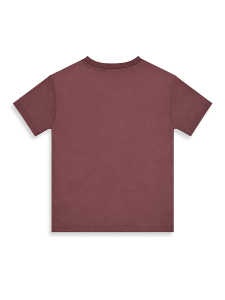 Erkek Çocuk Takım Kaplan Baskılı %100 Pamuk T-Shirt Çizgili Dokuma Şort Yazlık Takım - 6