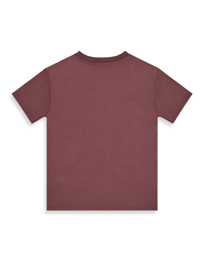 Erkek Çocuk Takım Kaplan Baskılı %100 Pamuk T-Shirt Çizgili Dokuma Şort Yazlık Takım - 6
