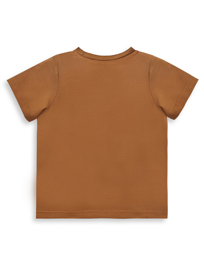 Dino Baby Boy Brown Set - 5