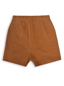 Dino Baby Boy Brown Set - 6