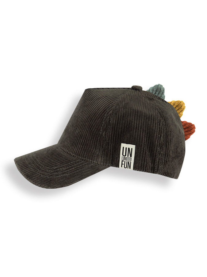 Dino Boy Velvet Cap - 2