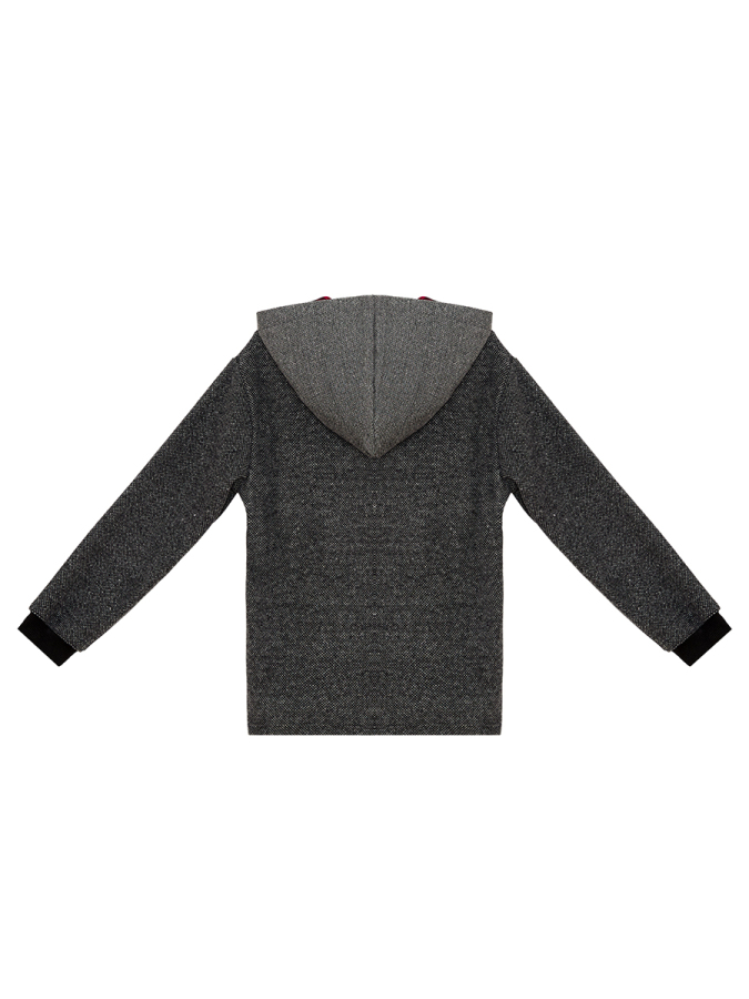 Erkek Çocuk Kışlık Dinozor ve Ekose Desenli Gri Kapüşonlu Uzun Kollu Sweatshirt 2-7 Yaş - 4