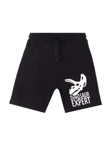 Dino Expert Boy T-shirt&Shorts Set - 6