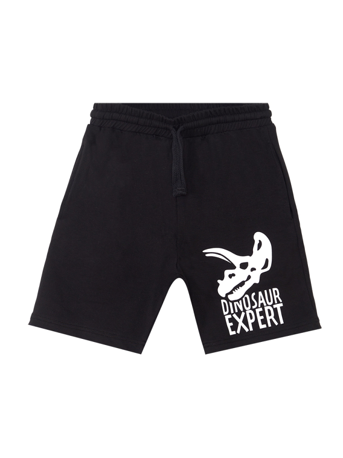 Dino Expert Boy T-shirt&Shorts Set - 6