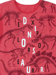 Dino Expert Boy T-shirt&Shorts Set - 8