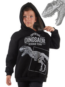 Dino Research Erkek Çocuk Sweatshirt - 1