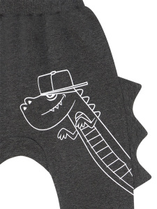 Dino Spikes Boy Pants Set - 6