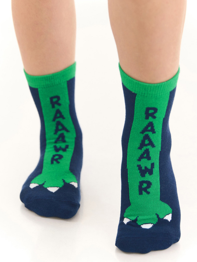 Dino Spikes Boy Socks Set - 4