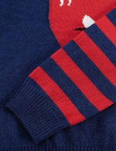 Dino Tricot Jumper - 7