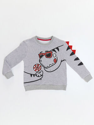 Dino&Candy Grey Boy Sweatshirt