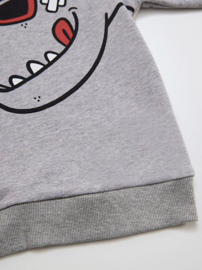 Dino&Candy Grey Boy Sweatshirt - 7