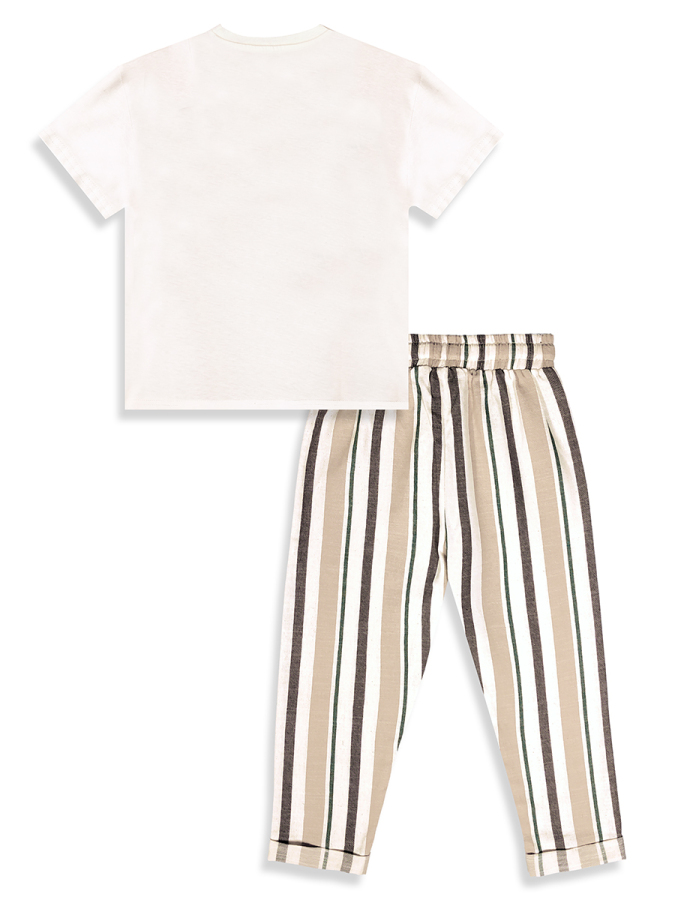 Erkek Çocuk Takım Dinozor Baskılı %100 Pamuk T-Shirt Çizgili Dokuma Pantolon Yazlık Takım - 6