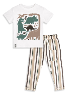 Erkek Çocuk Takım Dinozor Baskılı %100 Pamuk T-Shirt Çizgili Dokuma Pantolon Yazlık Takım - 4