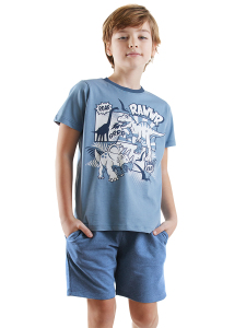 Dinos Boy Blue T-shirt&Shorts Set - Denokids