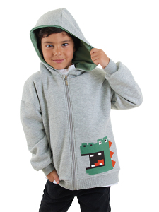 Dinozor Erkek Çocuk Fermuarlı Kapüşonlu Gri Sweatshirt - 1